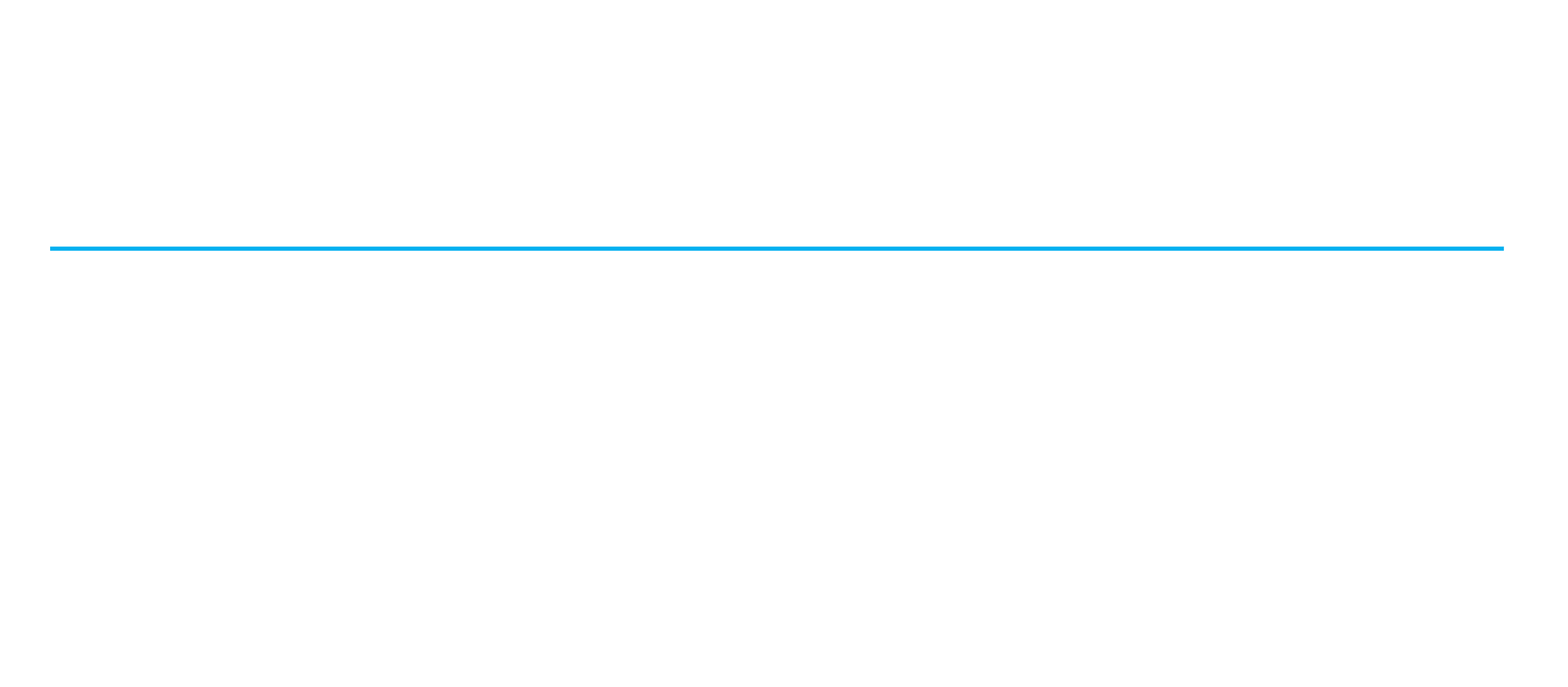 Georgia-Pacific Summary